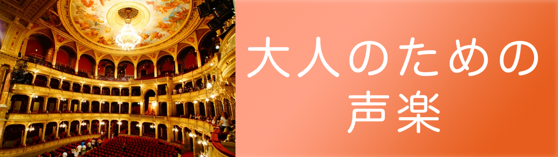 大人のための声楽のイメージ